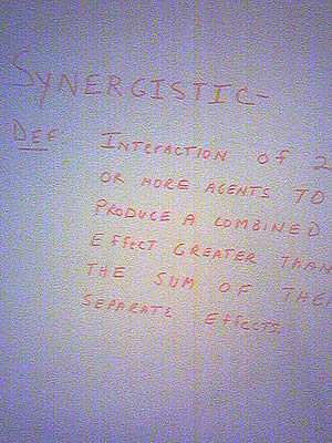 definition of synergistic, which is the same as synergy